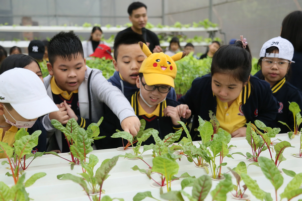 Ngôi trường ở quận Thanh Xuân có mô hình "lớp học đảo ngược": Nơi học sinh được trải nghiệm, sáng tạo mỗi ngày