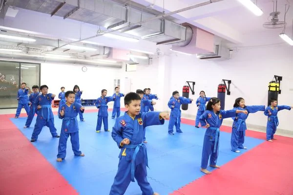 CHƯƠNG TRÌNH BẢN SẮC VIETSCHOOL GIÚP HỌC SINH TRỞ THÀNH CÔNG DÂN TOÀN CẦU Võ Vovinam xây dựng một nền tảng thể lực tốt cho sự phát triển thể chất và vận động của học sinh