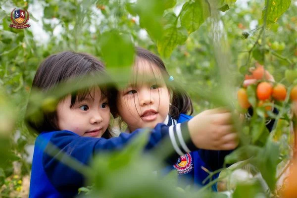 CÁC BẠN NHỎ CHƠI CÙNG CỎ CÂY, CHĂM SÓC VẬT NUÔI TẠI NÔNG TRẠI VUI VẺ CHIMI FARM