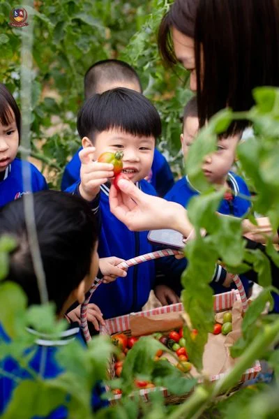 CÁC BẠN NHỎ CHƠI CÙNG CỎ CÂY, CHĂM SÓC VẬT NUÔI TẠI NÔNG TRẠI VUI VẺ CHIMI FARM