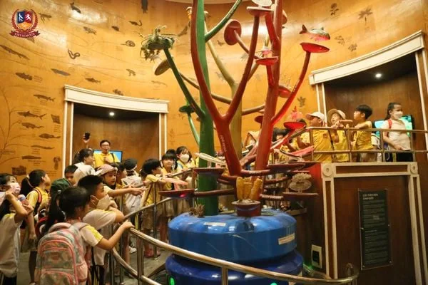 KHÁM PHÁ BẢO TÀNG THIÊN NHIÊN VIỆT NAM CÙNG CÁC VIETSCHOOLERS KHỐI 2