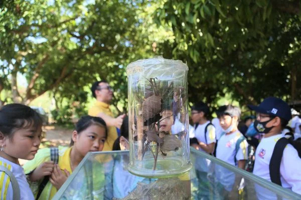 HỌC SINH KHỐI 5 - 1 NGÀY LÀM SINH VIÊN HỌC VIỆN NÔNG NGHIỆP VIỆT NAM: HỌC VUI – TRẢI NGHIỆM CHẤT