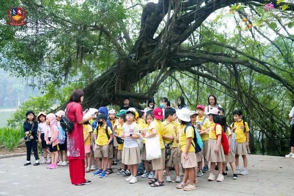 HỌC SINH KHỐI 2 HOẠT ĐỘNG HỌC TẬP TRẢI NGHIỆM VĂN HÓA NGƯỜI TRÀNG AN