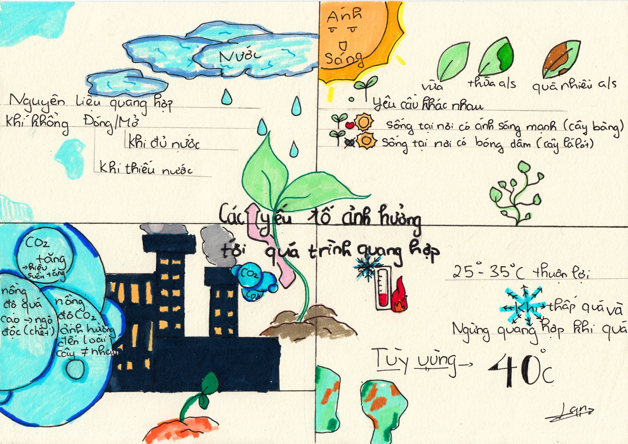 Học sinh Vietschool học tập sáng tạo với Sketchnote