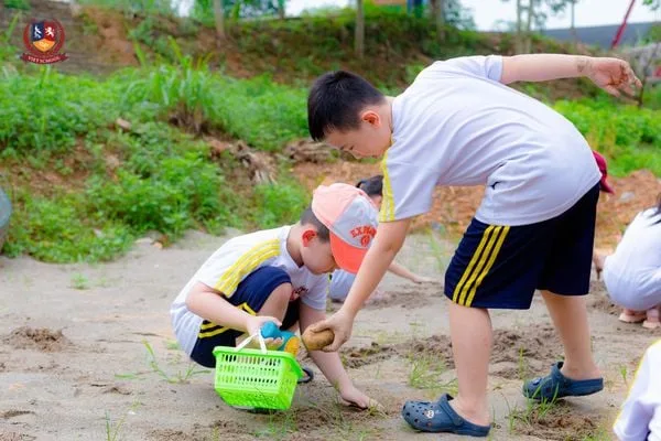 HÀNH TRÌNH KHÁM PHÁ THIÊN NHIÊN VÀ VĂN HÓA BA MIỀN CỦA HỌC SINH KHỐI 2 TẠI WONDERFARM BA VÌ