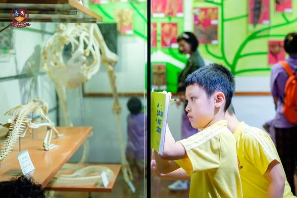 KHỐI 2 KHÁM PHÁ THẾ GIỚI ĐỘNG, THỰC VẬT THU NHỎ TẠI BẢO TÀNG THIÊN NHIÊN VIỆT NAM