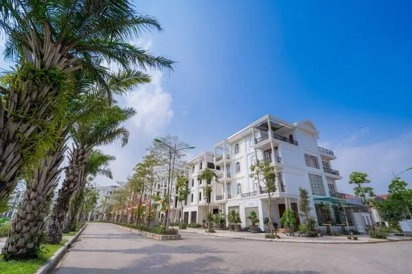 [CAFEF.VN] Bách Việt Group được thành lập từ ý tưởng “cùng làm gì đó cho vui” của hai đồng môn và chiến lược phát triển “con rùa”