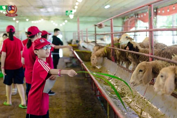 KHỐI 6 “MỞ MÀN” CHUỖI TRẢI NGHIỆM NĂM HỌC 2023-2024