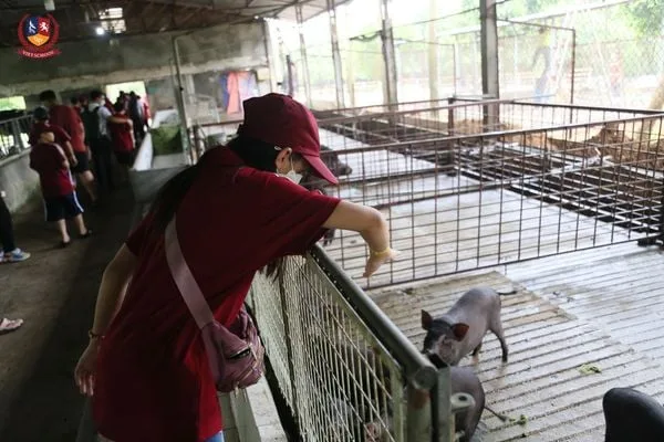 KHỐI 6,7 TẠI DETRANG FARM - ĐI ĐỂ HIỂU, TRẢI NGHIỆM ĐỂ TRƯỞNG THÀNH