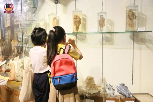 KHÁM PHÁ BẢO TÀNG THIÊN NHIÊN VIỆT NAM CÙNG CÁC VIETSCHOOLERS KHỐI 2