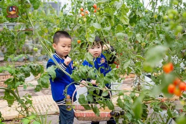 CÁC BẠN NHỎ CHƠI CÙNG CỎ CÂY, CHĂM SÓC VẬT NUÔI TẠI NÔNG TRẠI VUI VẺ CHIMI FARM