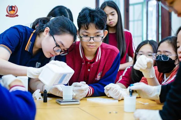 VIETSCHOOLERS HOÁ THÂN THÀNH CÁC NHÀ KHẢO CỔ HỌC TẠI BẢO TÀNG ĐỊA CHẤT HÀ NỘI
