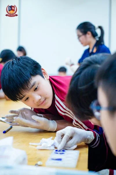 VIETSCHOOLERS HOÁ THÂN THÀNH CÁC NHÀ KHẢO CỔ HỌC TẠI BẢO TÀNG ĐỊA CHẤT HÀ NỘI