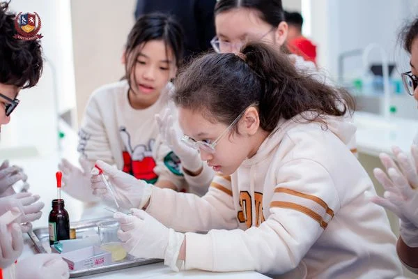KHOA HỌC CÓ GÌ VUI? - CÙNG VIETSCHOOLERS NGHIÊN CỨU ỨNG DỤNG CỦA VI KHUẨN TRONG CUỘC SỐNG