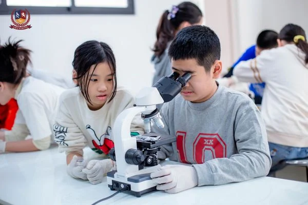 KHOA HỌC CÓ GÌ VUI? - CÙNG VIETSCHOOLERS NGHIÊN CỨU ỨNG DỤNG CỦA VI KHUẨN TRONG CUỘC SỐNG