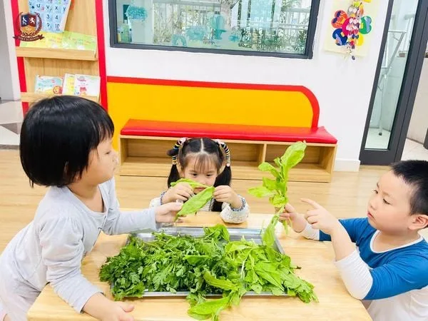 THẾ GIỚI QUANH EM: LỢI ÍCH KỲ DIỆU CỦA RAU XANH CHO CÁC CON KHỎE MẠNH