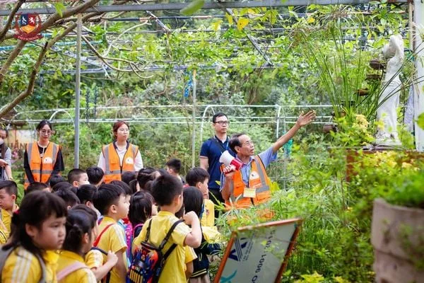 VIETSCHOOLER KHỐI 1 KHÁM PHÁ "ỐC ĐẢO XANH" GIỮA LÒNG HÀ NỘI