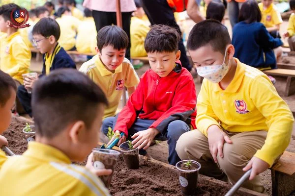 VIETSCHOOLER KHỐI 1 KHÁM PHÁ "ỐC ĐẢO XANH" GIỮA LÒNG HÀ NỘI