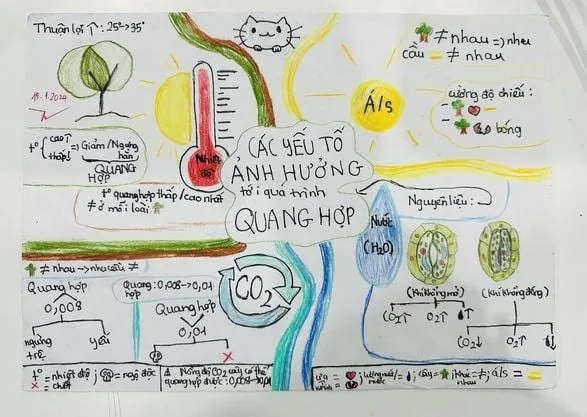 CÓ SƠ ĐỒ TƯ DUY, SỢ GÌ HỌC THUỘC!