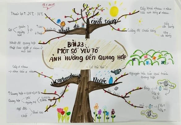CÓ SƠ ĐỒ TƯ DUY, SỢ GÌ HỌC THUỘC!