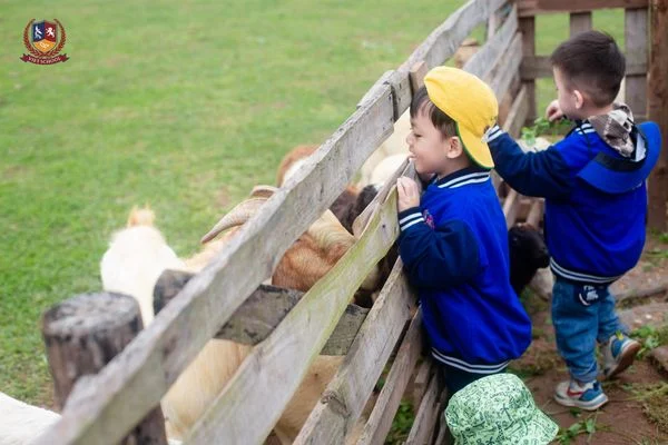 CÁC BẠN NHỎ CHƠI CÙNG CỎ CÂY, CHĂM SÓC VẬT NUÔI TẠI NÔNG TRẠI VUI VẺ CHIMI FARM