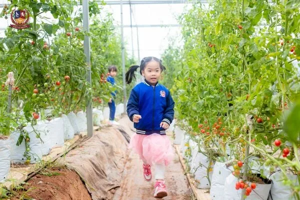 CÁC BẠN NHỎ CHƠI CÙNG CỎ CÂY, CHĂM SÓC VẬT NUÔI TẠI NÔNG TRẠI VUI VẺ CHIMI FARM