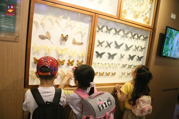 KHÁM PHÁ BẢO TÀNG THIÊN NHIÊN VIỆT NAM CÙNG CÁC VIETSCHOOLERS KHỐI 2