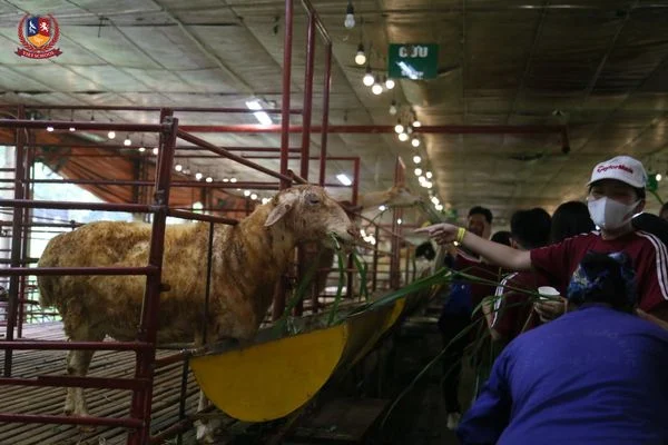 KHỐI 6,7 TẠI DETRANG FARM - ĐI ĐỂ HIỂU, TRẢI NGHIỆM ĐỂ TRƯỞNG THÀNH