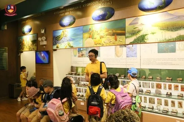 KHÁM PHÁ BẢO TÀNG THIÊN NHIÊN VIỆT NAM CÙNG CÁC VIETSCHOOLERS KHỐI 2