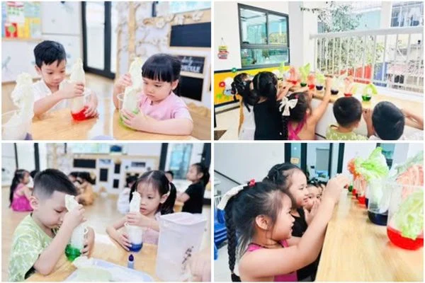 BẢN TIN THÁNG 08 - 09/2024 - VIETSCHOOL