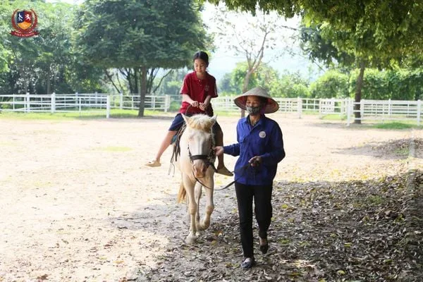 KHỐI 6,7 TẠI DETRANG FARM - ĐI ĐỂ HIỂU, TRẢI NGHIỆM ĐỂ TRƯỞNG THÀNH
