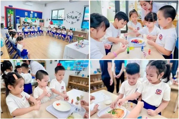 BẢN TIN THÁNG 08 - 09/2024 - VIETSCHOOL