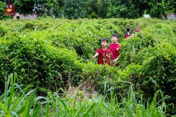 VIETSCHOOLERS KHỐI 6 "HỌC MÀ CHƠI" TẠI DETRANG FARM: TRẢI NGHIỆM ĐỂ BIẾT YÊU LAO ĐỘNG