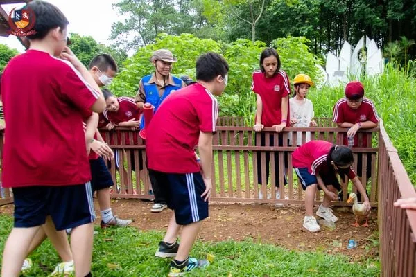 VIETSCHOOLERS KHỐI 6 "HỌC MÀ CHƠI" TẠI DETRANG FARM: TRẢI NGHIỆM ĐỂ BIẾT YÊU LAO ĐỘNG