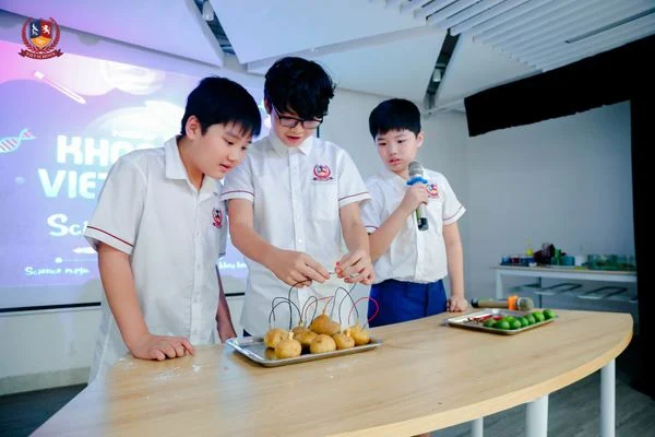 Phần thi trình diễn Science Magic - Tiết mục pin điện hóa được chế tạo từ rau củ của 3 hàng trai vô cùng tài năng lớp 6V1 Tùng Minh, Quang Anh, Đức Huy.