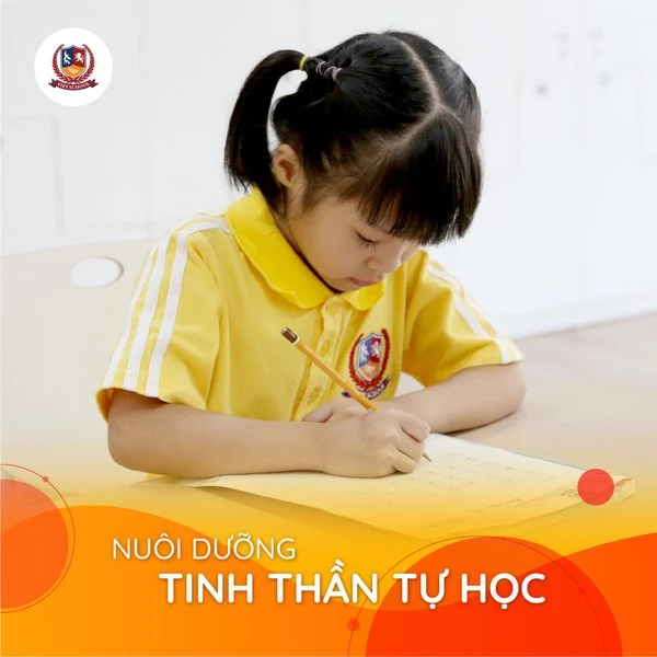 CHỌN TRƯỜNG CHO CON: ĐÂU MỚI LÀ ĐIỀU QUAN TRỌNG NHẤT?