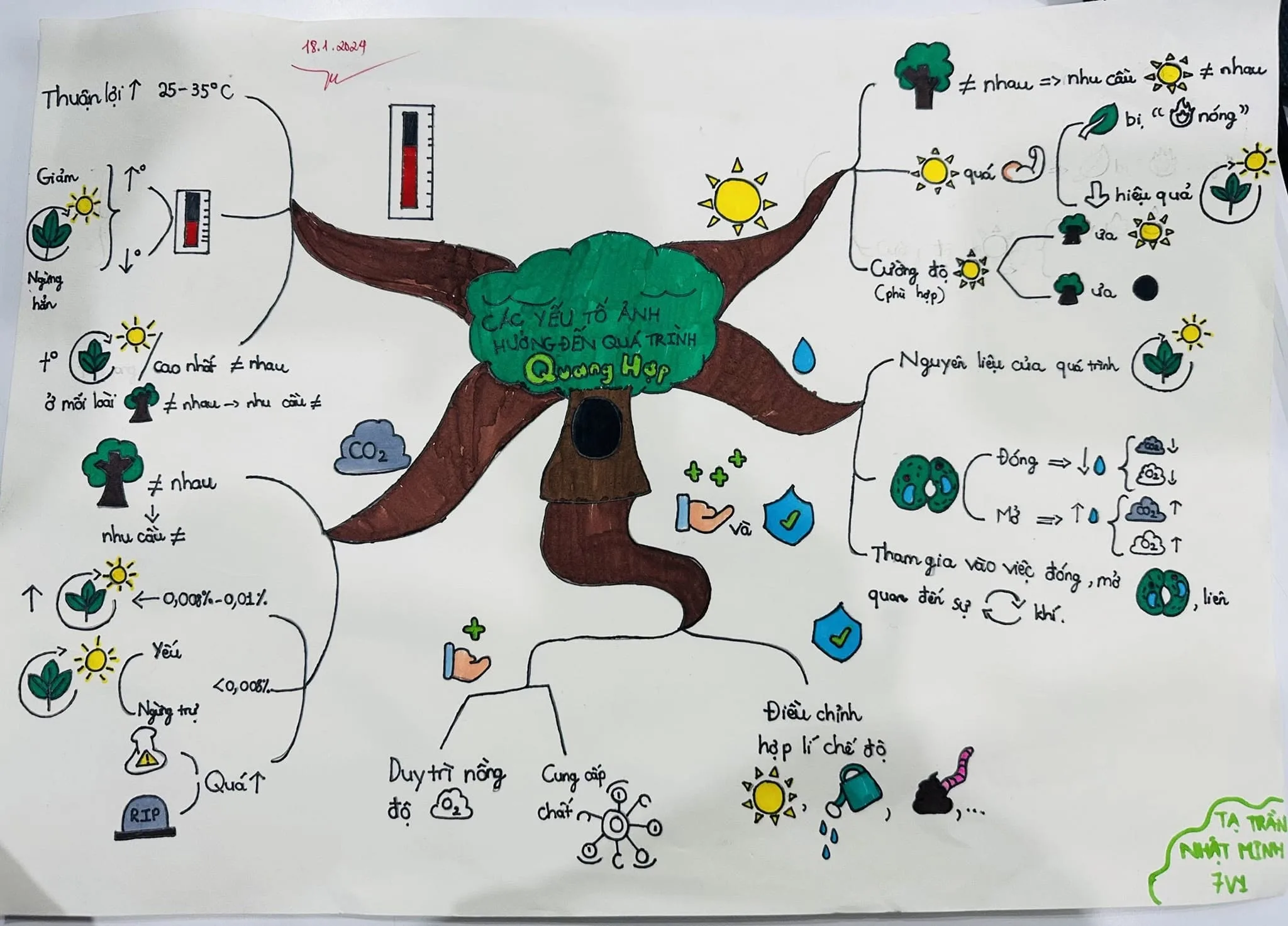 sơ đồ tư duy học sinh Vietschool