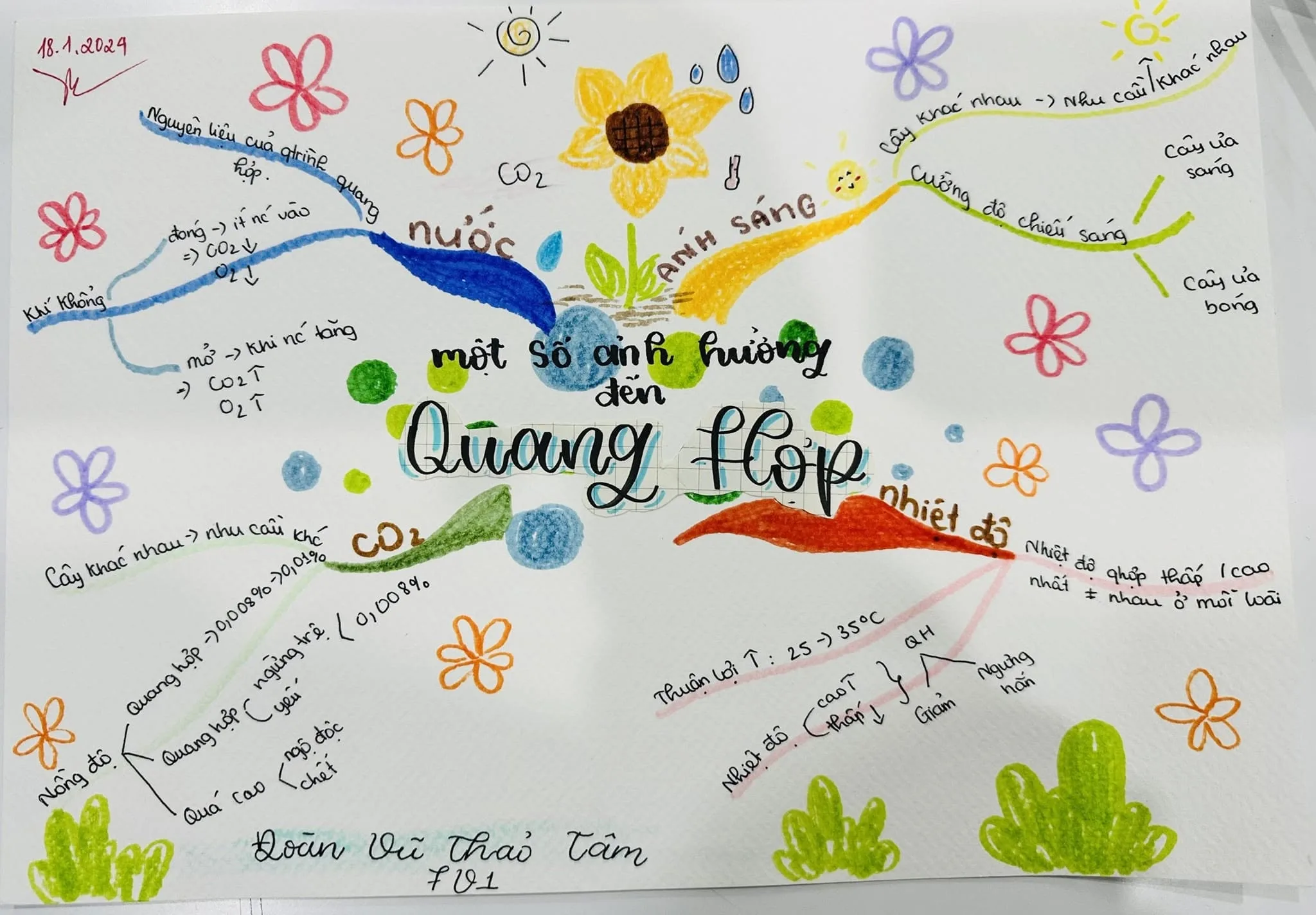sơ đồ tư duy học sinh Vietschool 2