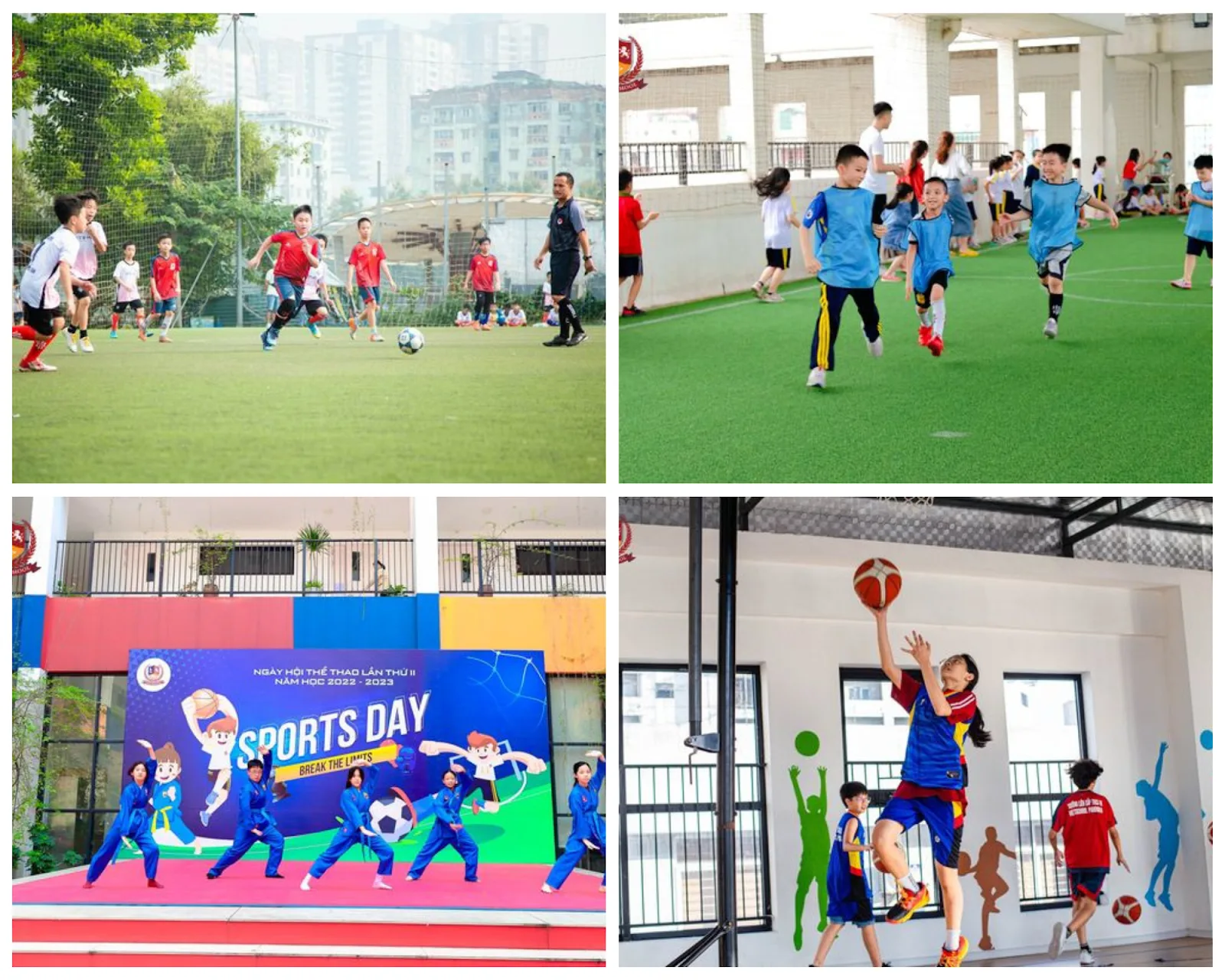 VIETSCHOOL NEWSLETTER 02/2024 - BẢN TIN THÁNG 02/2024 - VIETSCHOOL