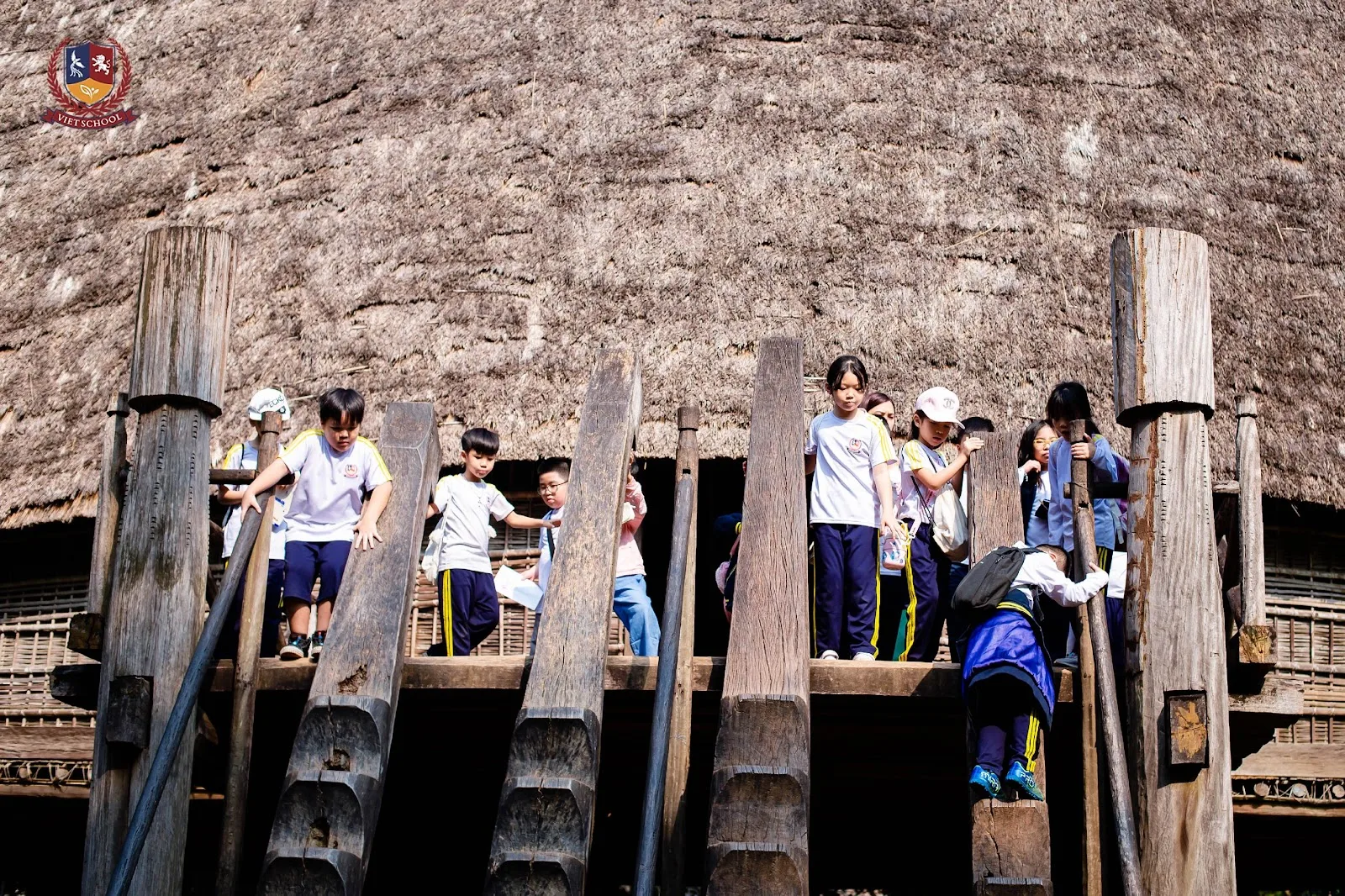 CHUYẾN TÀU THANH XUÂN VIETSCHOOL: HÀNH TRÌNH 5 NĂM RỰC RỠ