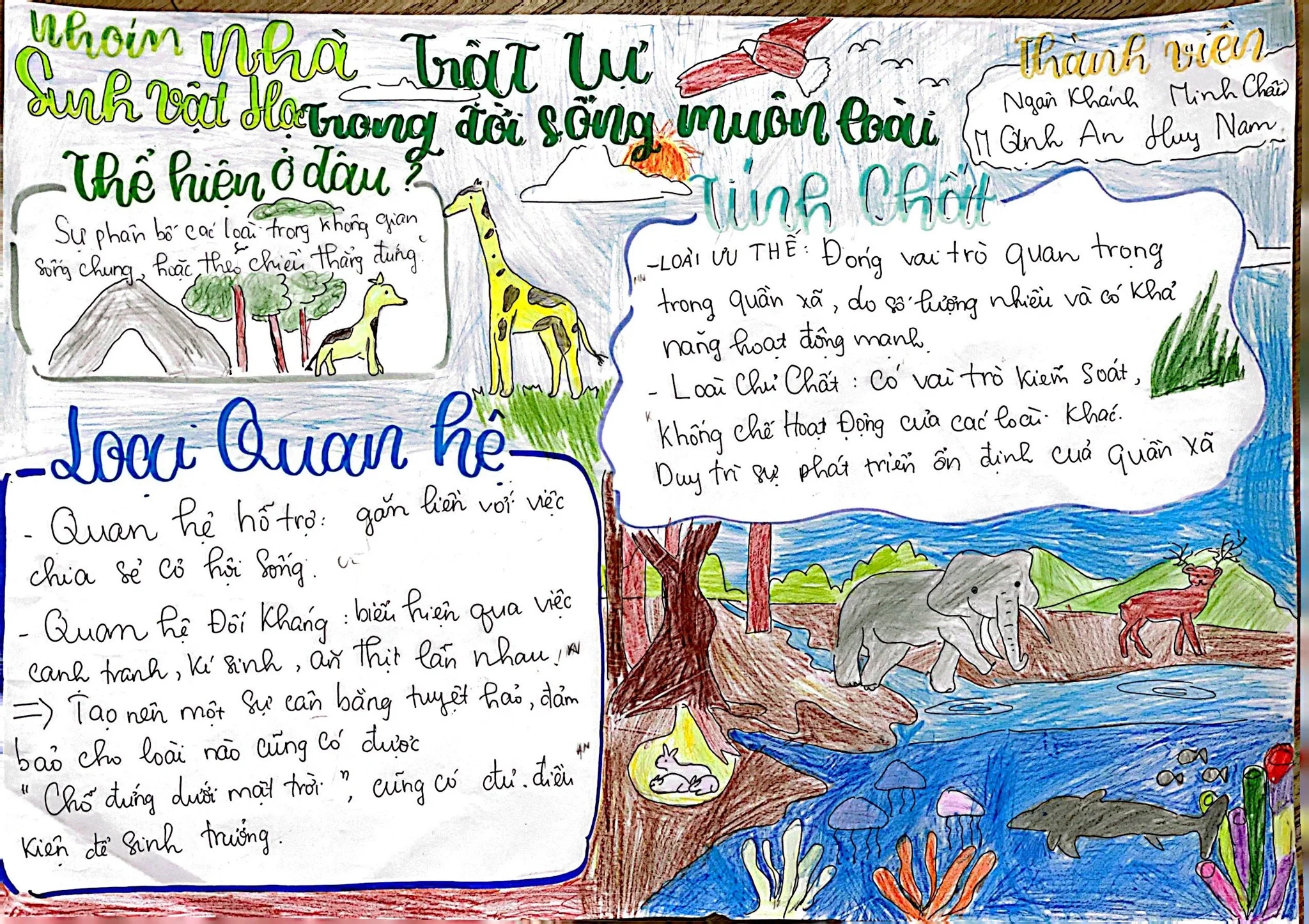 MÔN NGỮ VĂN TẠI VIETSCHOOL - CÁCH ĐỂ TRẺ CẢM THỤ THẾ GIỚI BẰNG CẢ TRÁI TIM Sản phẩm học tập của học sinh