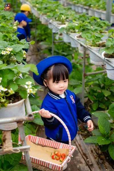 TRÍ TUỆ CẢM XÚC: NỀN TẢNG CHO CUỘC SỐNG HẠNH PHÚC VÀ CÂN BẰNG CỦA TRẺ