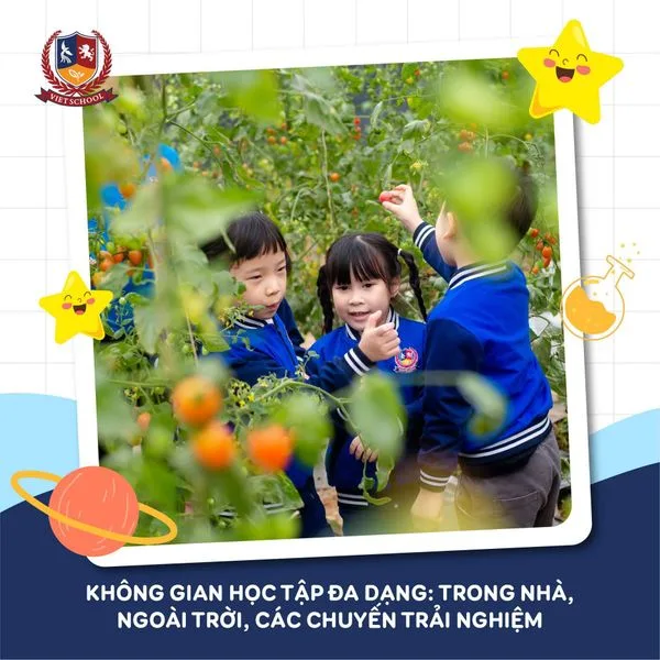 PHƯƠNG PHÁP GIÁO DỤC STEAM HIỆN ĐẠI DẪN DẮT TRẺ GIẢI MÃ THẾ GIỚI DIỆU KỲ