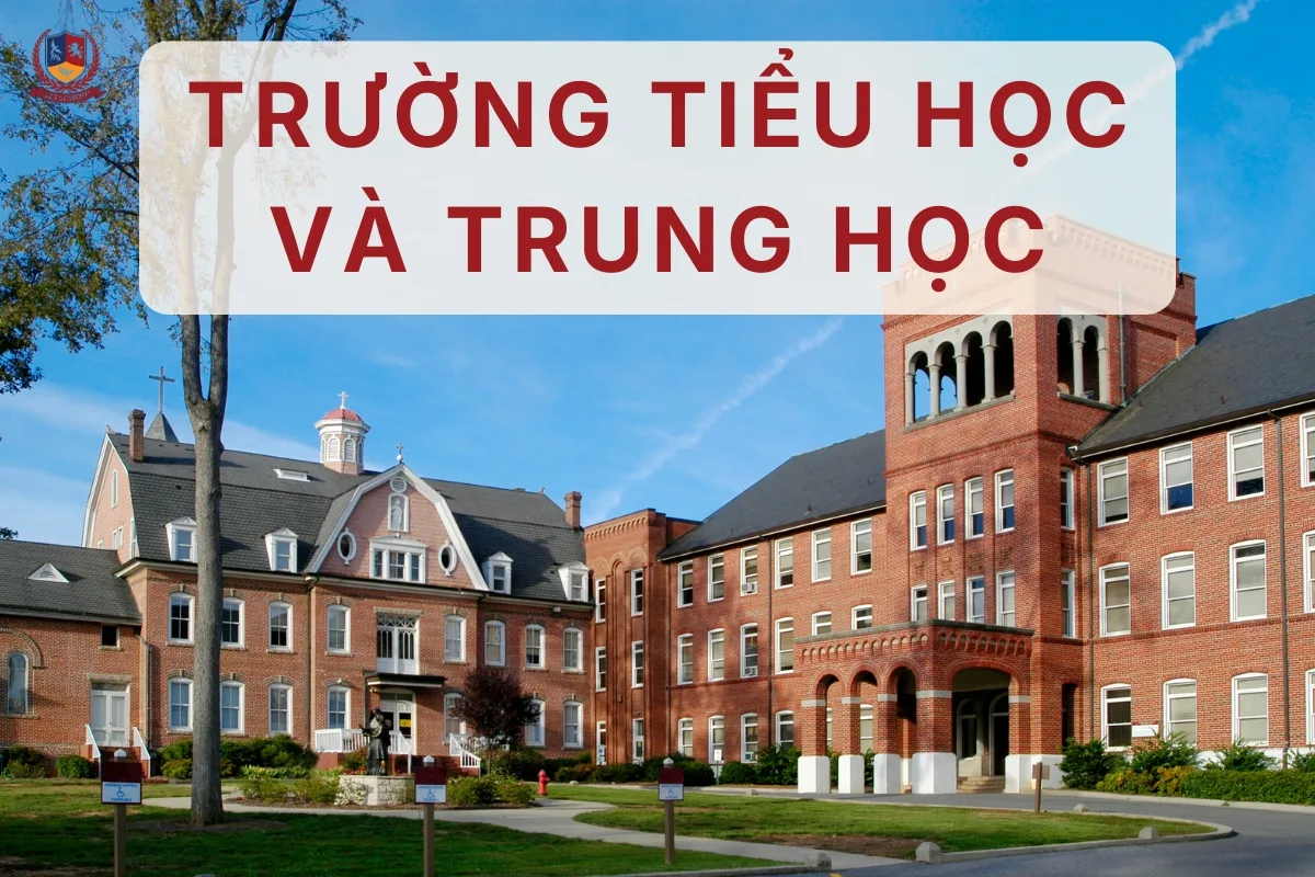 Khám phá mô hình trường tiểu học và trung học cơ sở liên cấp