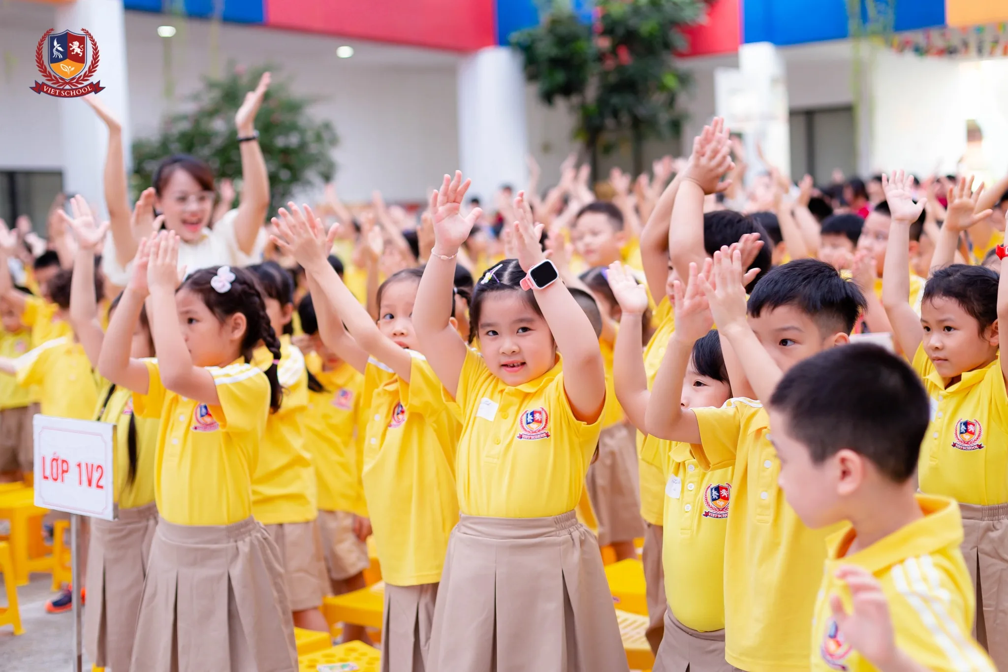 Sức hút của trường tiểu học tư thục