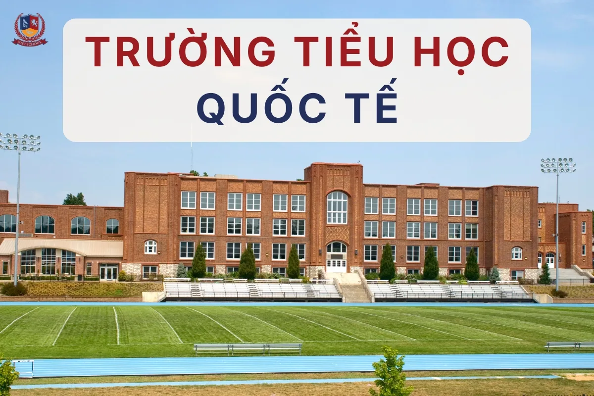 5 Điểm nổi bật của trường tiểu học quốc tế ba mẹ cần biết