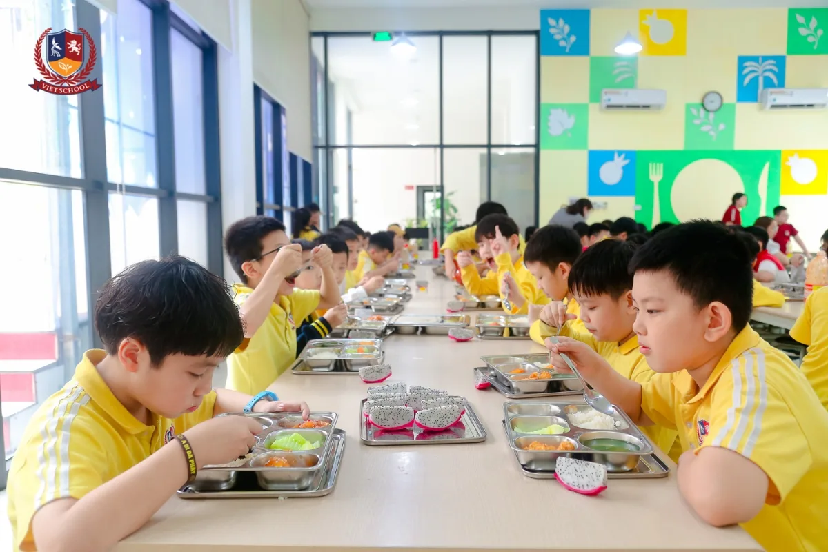 Chế độ dinh dưỡng và chăm sóc sức khỏe