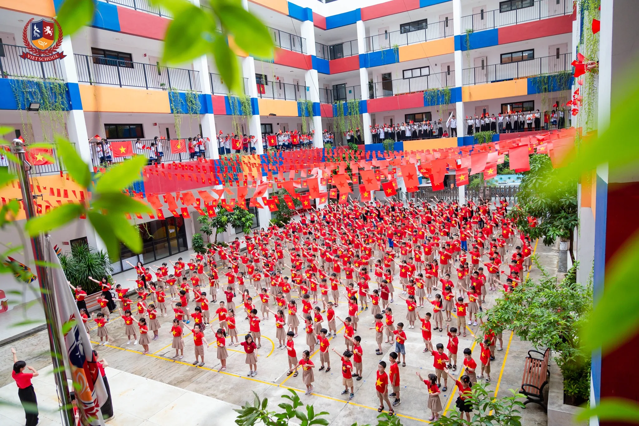 trường Vietschool