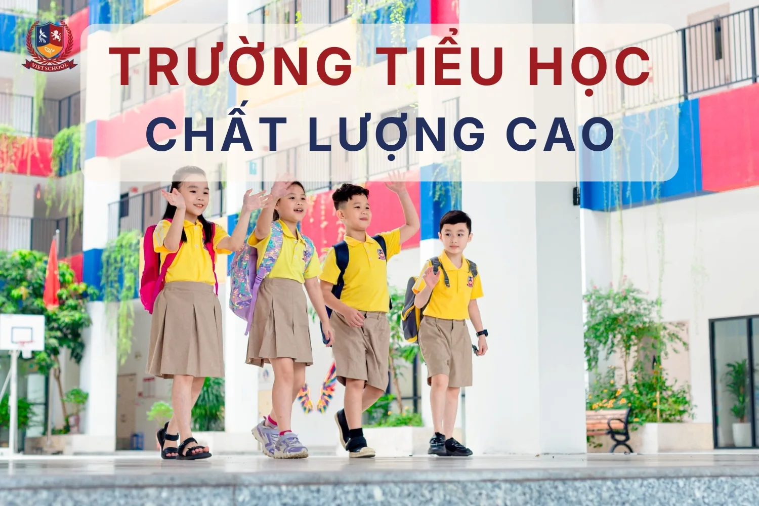 khám phá trường tiểu học chất lượng cao