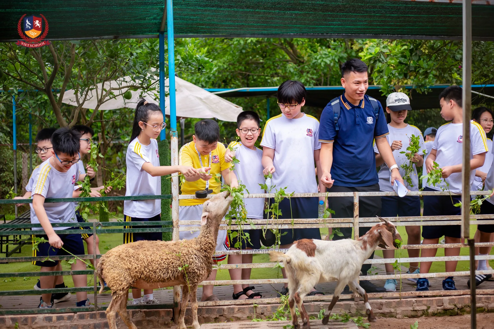 chương trình ngoại khóa cho học sinh tiểu học